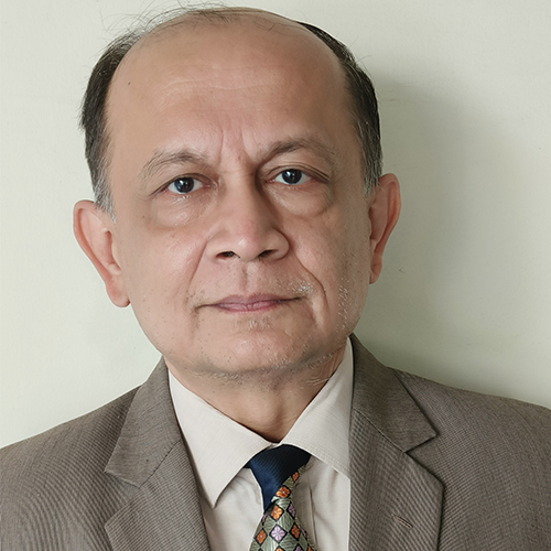 A man in a suit and tie posing for a picture.