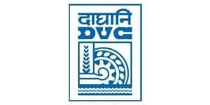 Logo of DVC